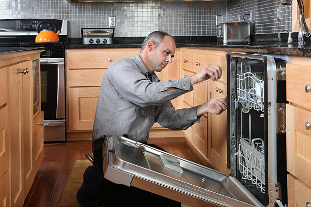 dishwasher repair professional fixing appliance